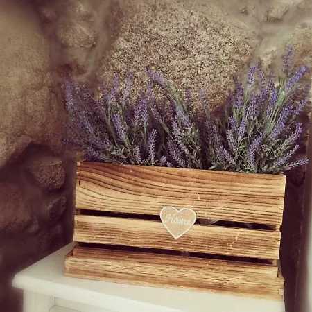 Gasthuis Isabel Do Couto - Casa De Charme Castro Daire