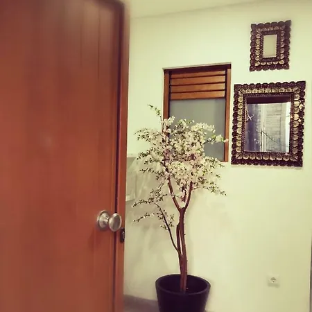 Isabel Do Couto - Casa De Charme * Castro Daire