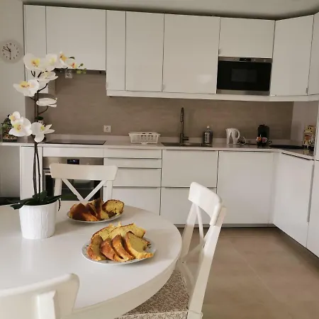 Isabel Do Couto - Casa De Charme Guest house Castro Daire
