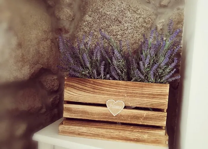 Гостевой дом Isabel Do Couto - Casa De Charme Каштру-Дайри